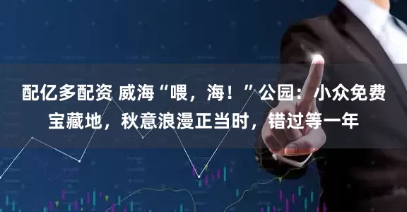 配亿多配资 威海“喂，海！”公园：小众免费宝藏地，秋意浪漫正当时，错过等一年